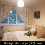 Basingstoke